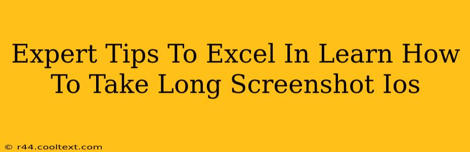 Expert Tips To Excel In Learn How To Take Long Screenshot Ios