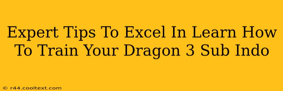 Expert Tips To Excel In Learn How To Train Your Dragon 3 Sub Indo