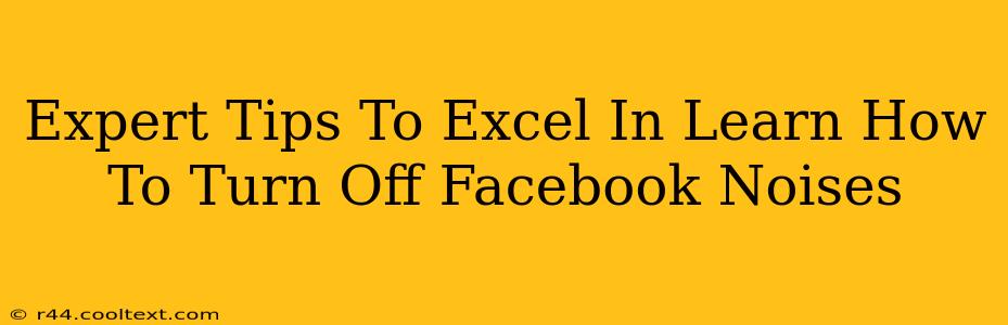 Expert Tips To Excel In Learn How To Turn Off Facebook Noises