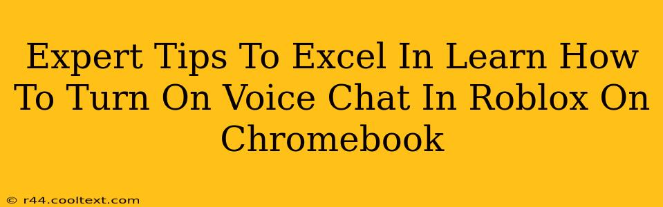 Expert Tips To Excel In Learn How To Turn On Voice Chat In Roblox On Chromebook