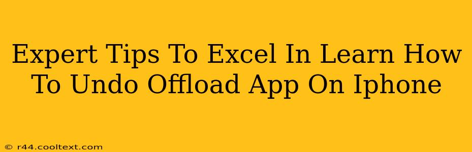 Expert Tips To Excel In Learn How To Undo Offload App On Iphone