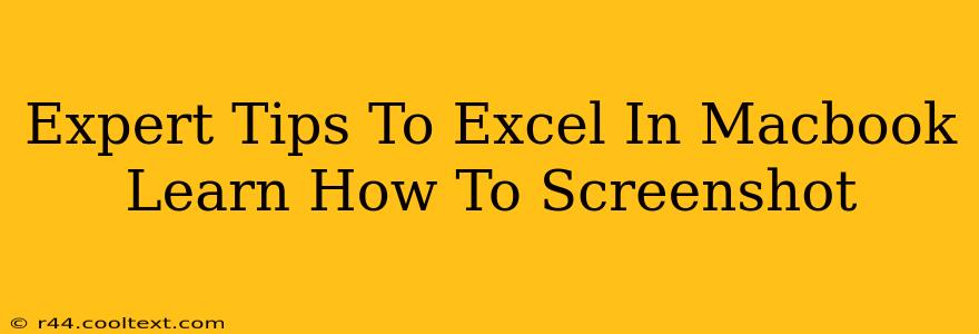 Expert Tips To Excel In Macbook Learn How To Screenshot