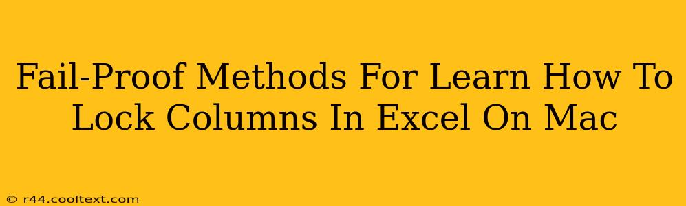 Fail-Proof Methods For Learn How To Lock Columns In Excel On Mac