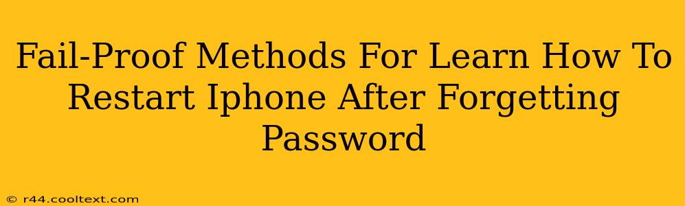 Fail-Proof Methods For Learn How To Restart Iphone After Forgetting Password