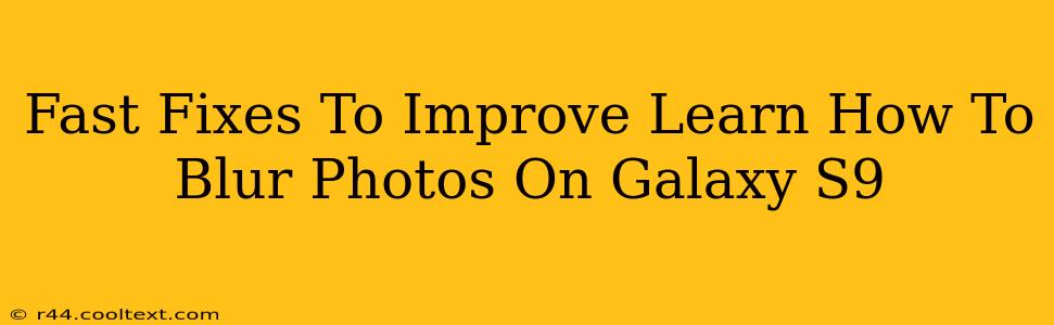 Fast Fixes To Improve Learn How To Blur Photos On Galaxy S9