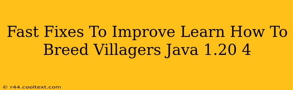 Fast Fixes To Improve Learn How To Breed Villagers Java 1.20 4