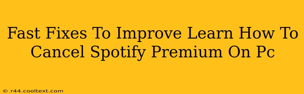 Fast Fixes To Improve Learn How To Cancel Spotify Premium On Pc