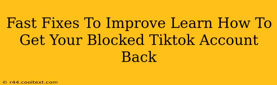 Fast Fixes To Improve Learn How To Get Your Blocked Tiktok Account Back