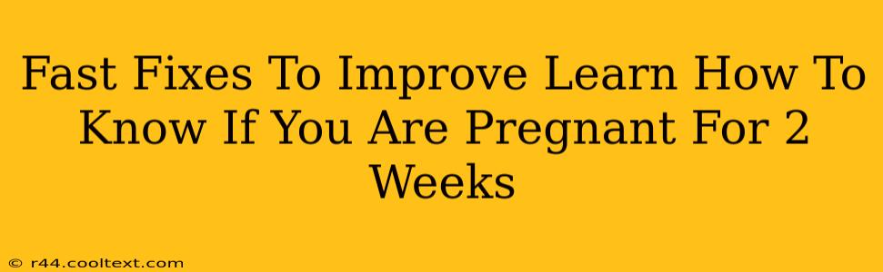 Fast Fixes To Improve Learn How To Know If You Are Pregnant For 2 Weeks