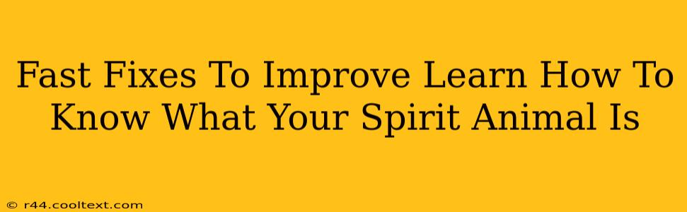 Fast Fixes To Improve Learn How To Know What Your Spirit Animal Is