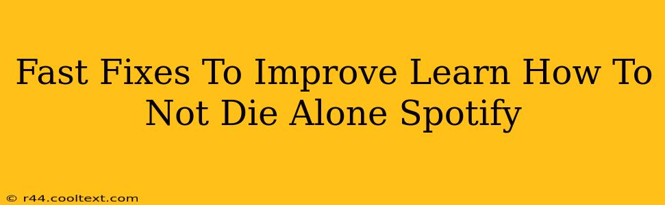 Fast Fixes To Improve Learn How To Not Die Alone Spotify