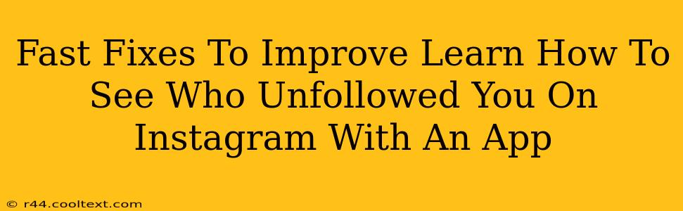 Fast Fixes To Improve Learn How To See Who Unfollowed You On Instagram With An App