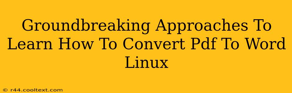 Groundbreaking Approaches To Learn How To Convert Pdf To Word Linux