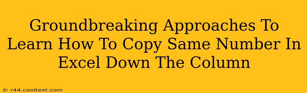 Groundbreaking Approaches To Learn How To Copy Same Number In Excel Down The Column