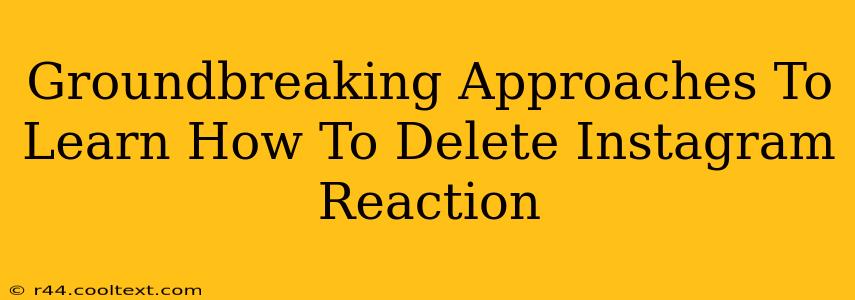 Groundbreaking Approaches To Learn How To Delete Instagram Reaction