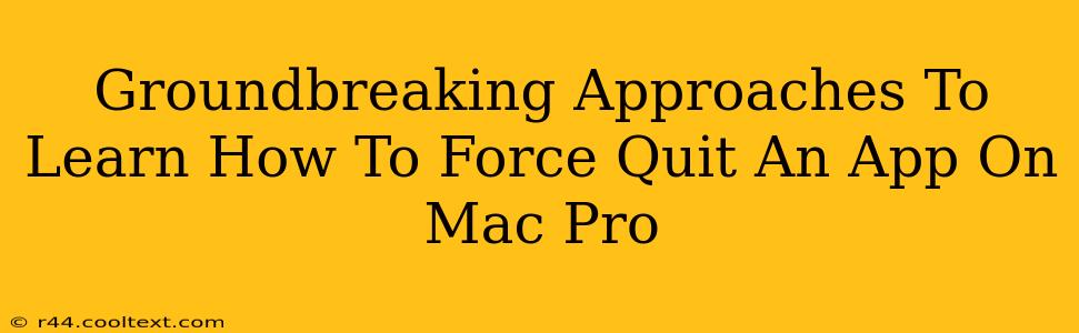 Groundbreaking Approaches To Learn How To Force Quit An App On Mac Pro