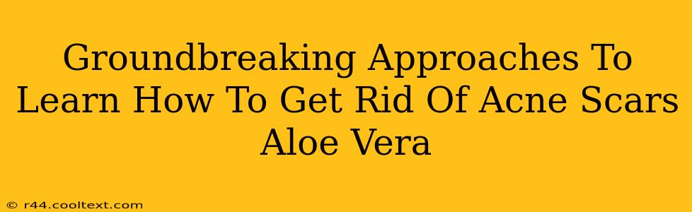 Groundbreaking Approaches To Learn How To Get Rid Of Acne Scars Aloe Vera