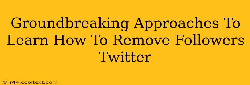 Groundbreaking Approaches To Learn How To Remove Followers Twitter