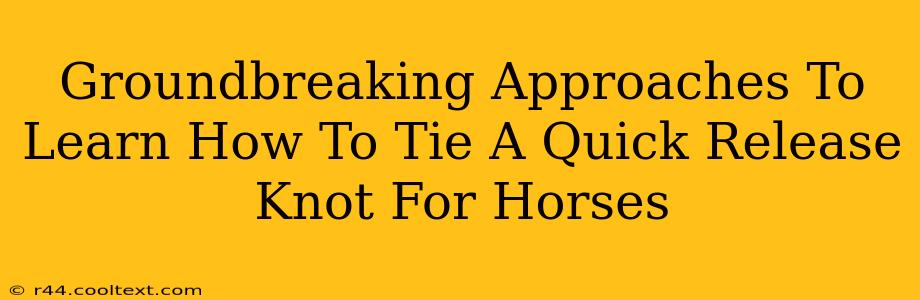 Groundbreaking Approaches To Learn How To Tie A Quick Release Knot For Horses