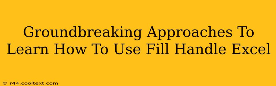 Groundbreaking Approaches To Learn How To Use Fill Handle Excel