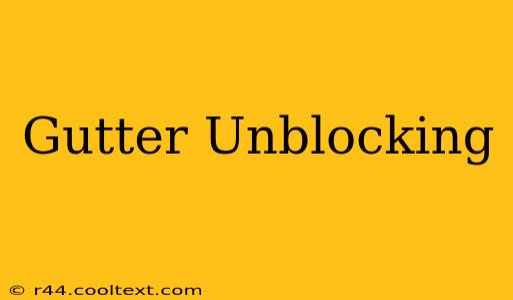 Gutter Unblocking