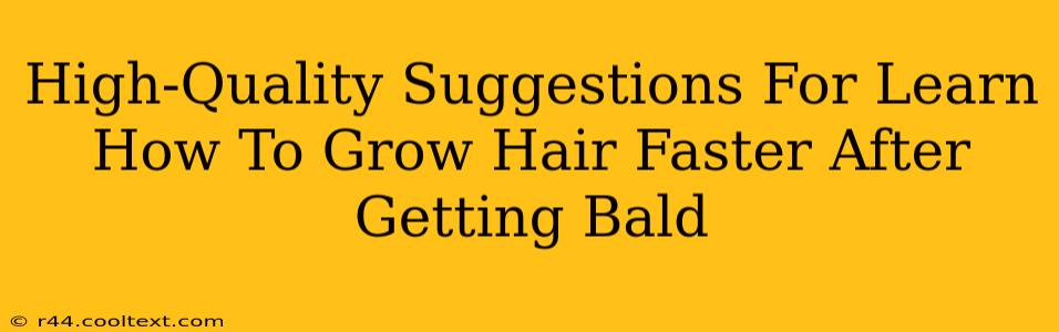 High-Quality Suggestions For Learn How To Grow Hair Faster After Getting Bald