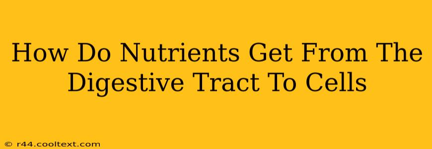 How Do Nutrients Get From The Digestive Tract To Cells