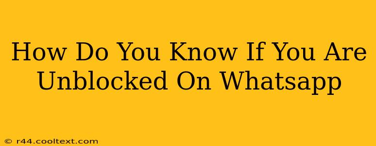 How Do You Know If You Are Unblocked On Whatsapp