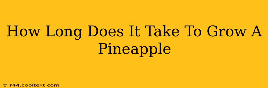 How Long Does It Take To Grow A Pineapple