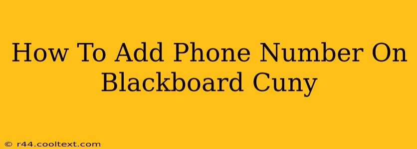 How To Add Phone Number On Blackboard Cuny