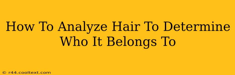 How To Analyze Hair To Determine Who It Belongs To