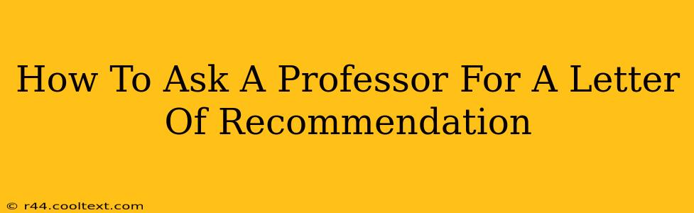 How To Ask A Professor For A Letter Of Recommendation