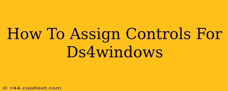 How To Assign Controls For Ds4windows