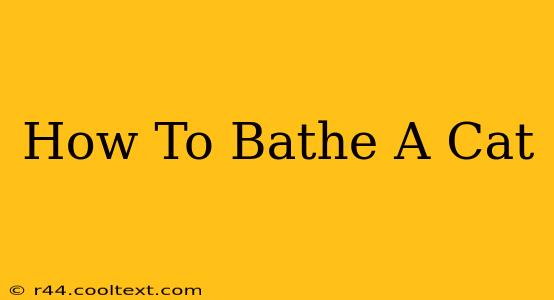 How To Bathe A Cat