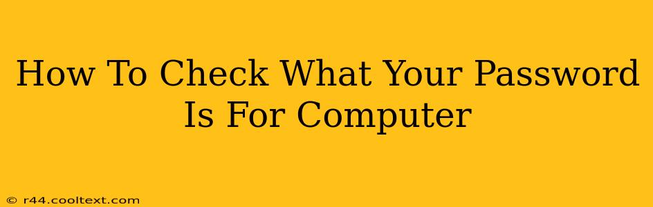 How To Check What Your Password Is For Computer