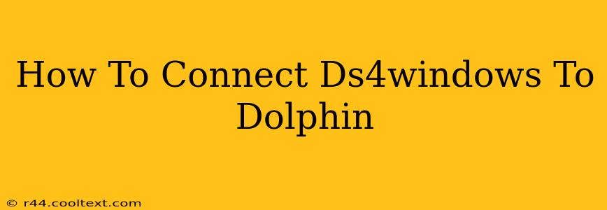 How To Connect Ds4windows To Dolphin