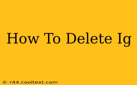 How To Delete Ig