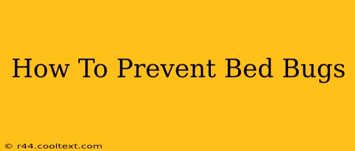 How To Prevent Bed Bugs