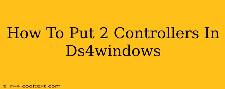 How To Put 2 Controllers In Ds4windows