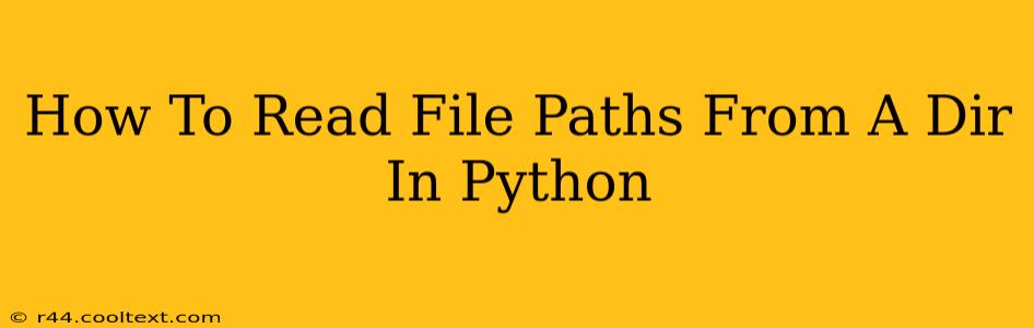 How To Read File Paths From A Dir In Python