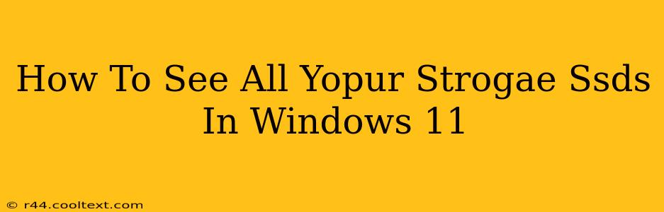 How To See All Yopur Strogae Ssds In Windows 11