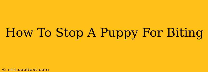 How To Stop A Puppy For Biting