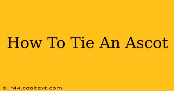 How To Tie An Ascot