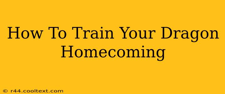 How To Train Your Dragon Homecoming