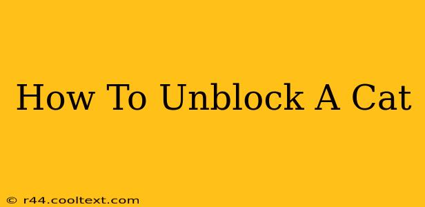 How To Unblock A Cat