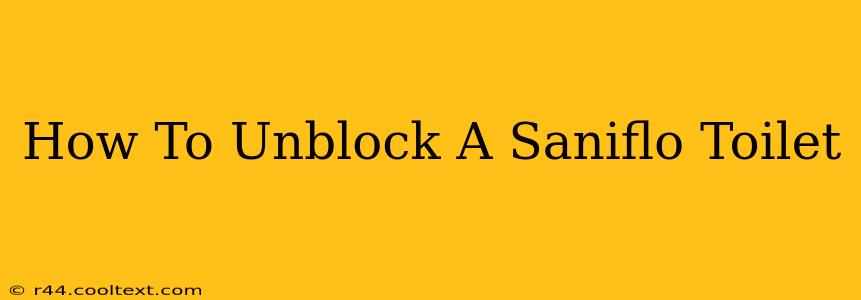 How To Unblock A Saniflo Toilet