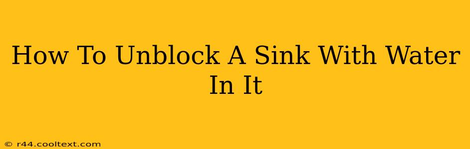 How To Unblock A Sink With Water In It