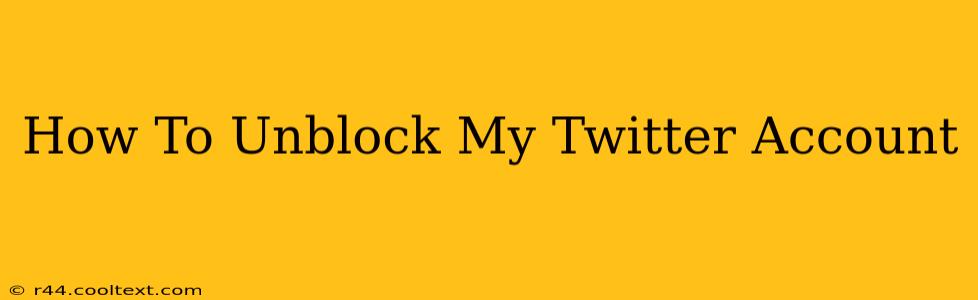 How To Unblock My Twitter Account