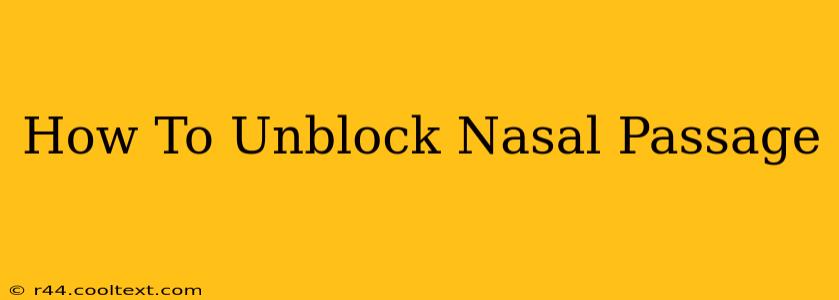 How To Unblock Nasal Passage