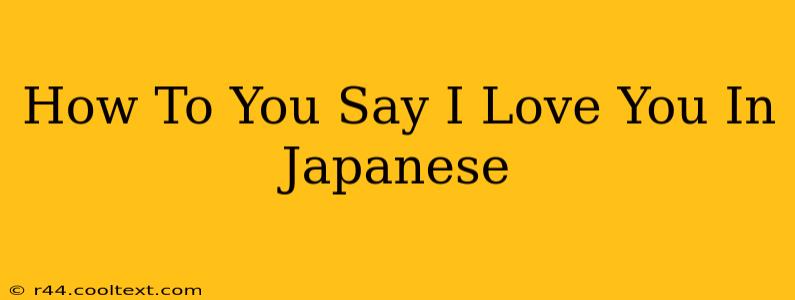 How To You Say I Love You In Japanese